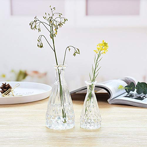 Set of 3 Mini Clear Glass Vase,Small Flower Bud Vase Hydroponics Planter Decorative for Flower,Table,Party,Home,Centerpieces(Clear 5) - color: Clear 5