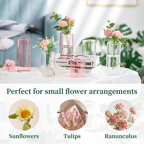 Small Glass Bud Vases for Centerpieces – Hewory 24pcs Clear Blown Single Flower Vases Bulk, Modern Mini Cylinder Vase Set for Wedding Anniversary Birthday Party Events Home Living Room Table Decor
