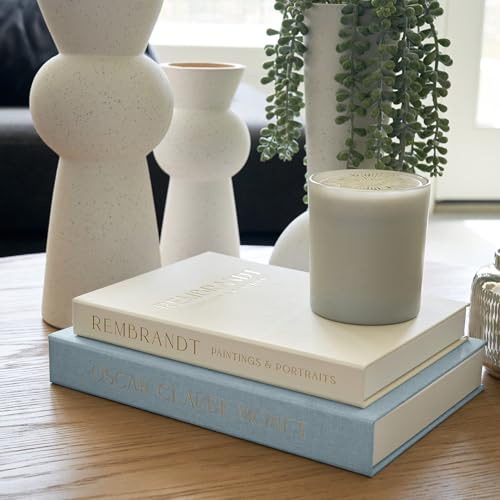 Beautiful Decorative Books - Set of 2 Linen Boxes Enhance Your Coffee Table, Bookshelf or Mantel Decor - Stylish Fake/Faux Books for Modern Home Decoration, Photo Storage and as a Keepsake Box - color: Blue-beige