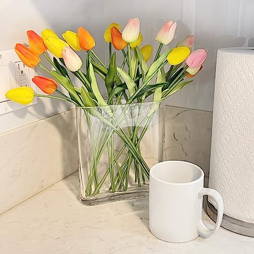 CYS EXCEL Glass Book Vase (H:8" Open:7"x2") Round Edge Oval Flower Vase Rectangular Wedding Centerpiece - size: H-8" Open-7"x2"