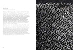 Tone Vigeland: Jewelry - Objects - Sculpture