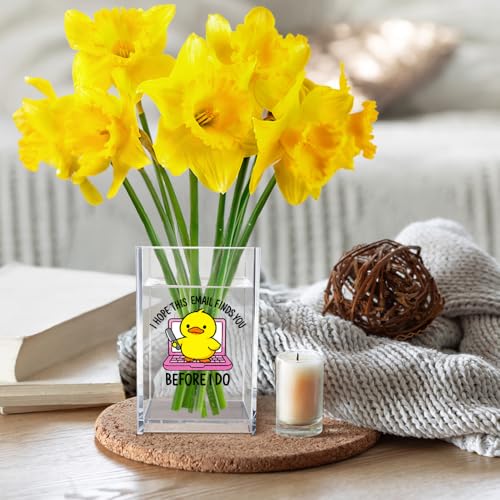 I Hope This Email Finds You Before I Do Acrylic Cosmetic Pencil Pen Holder Cup, Funny Duck Knife Desk Organizer for Home Office Decor, Sarcastic Work Gifts for Women Men Duck Lovers Coworkers - style: Before I Do