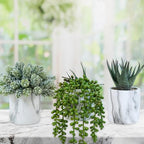 Winlyn Set of 3 Small Artificial Succulent Potted Plants Fake Aloe Hops String of Pearls in Modern Marble Ceramic Planter for Home Garden Bathroom Shelf Office Desk Tabletop Indoor Outdoor Décor