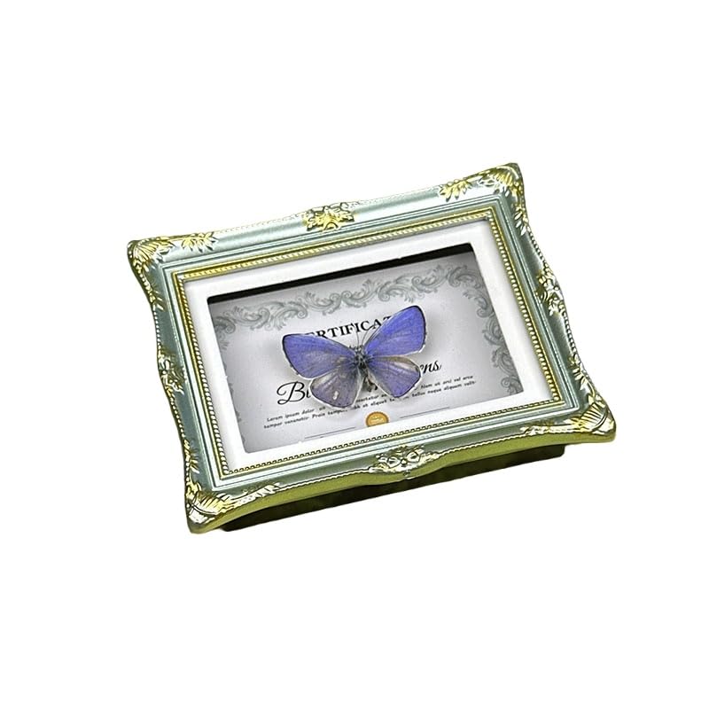 1Pcs Real Butterfly Framed Handmade, Taxidermy Butterfly Shadow Box Collection, Framed Butterfly Taxidermy for Oddities and Curiosities Gifts Tabletop Ornaments (D-Butterfly Specimen+Photo Frame) - color: D-butterfly Specimen+photo Frame