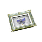1Pcs Real Butterfly Framed Handmade, Taxidermy Butterfly Shadow Box Collection, Framed Butterfly Taxidermy for Oddities and Curiosities Gifts Tabletop Ornaments (D-Butterfly Specimen+Photo Frame) - color: D-butterfly Specimen+photo Frame