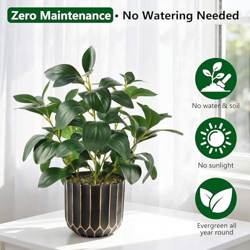 florisso Artificial Succulents with Fig Leaf Greenery in Black & Gold Planter, Fake Succulents Potted Decor for Farmhouse, Bathroom, Bedroom, Kitchen, Office Desk and Coffee Table (Black Gold) - color: Black & Gold Plastic Planter