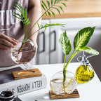 Glass Planter Propagation Station with Wooden Base - Clear Oblate Hydroponic Vase, Decorative Desktop Flower Vase for Home, Office, Windowsill - Gift for Plant Lovers (2)