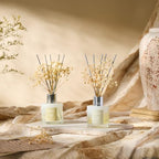 Airkeep Reed Diffuser 3.38 oz (100ml) 2pk, Clean Linen Scented Reed Diffuser Set,Reed Diffuser & Oil Diffuser Sticks, Aromatherapy, Airkeep Reed Diffuser Set Box 2-Clean Linen - size: Real Flower/3.38Ounce/2pack