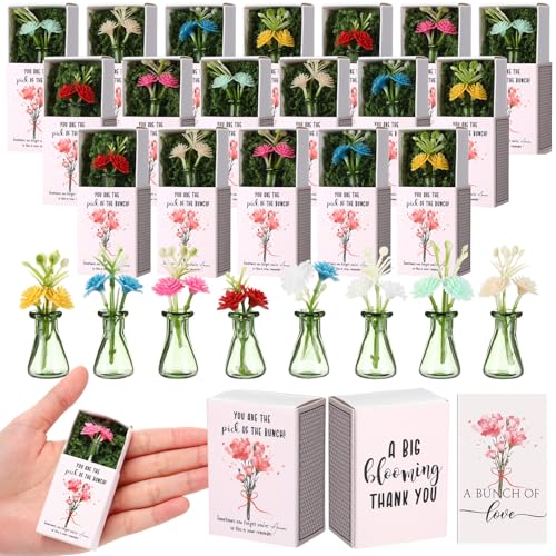 24 Sets Mother's Day Bulk Gifts for Women Teacher Nurse Appreciation Positive Mini Bud Vases with Flower Office Desk Decor Mini Box Breathing Thank You Gifts for Graduation Coworker Staff (Green) - color: Green