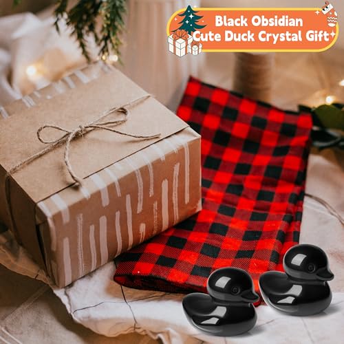 QINJIEJIE Black Obsidian Duck Decor Funny Ducks Crystals Figurine Healing Crystal Cute Animal Statue Decor Duck Gifts Black Desk Office Lucky Decoration Gifts for Him Stocking Stuffers - color: Black Obsidian