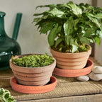 YBX 8-inch Plant Saucer Premium Terracotta Saucer Round Ceramic Plant Trays, Pack of 2 (Nature/Terracotta) - color: Terracotta