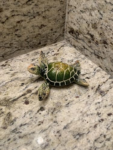 Ain’t It Nice Sea Turtle Statue Coastal Ocean Beach Decor Gifts Figurine Beach Room for Home and Office Marine Collectible Sculpture, Green 3.5(L) 4(W) 1.25(H) Inches - color: Green 1