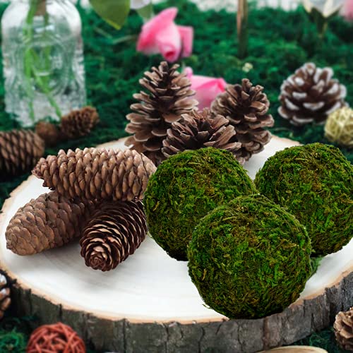BYHER Natural Green Moss Decorative Ball,Handmade (3.5"-Set of 6) - size: 3.5"-set of 6