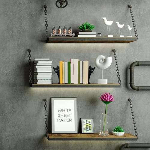 Peeping Cat Metal Bookends Cute Cat Book Ends for Shelves Bookshelf Decorative Objects Home Office Desk Bookshelf Decor Cat Lover Gifts for Women (Black)