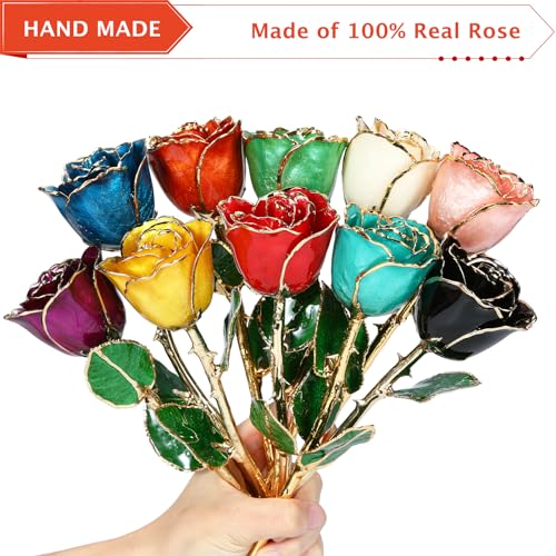 AliveRose Anniversary Day Gift for Girlfriend Roses, Unique Design Gold Plated Rose for Anniversary Valentines Mothers Day Birthday Gifts (Balck Handmade with Crystal Vase) - color: A8. Black Handmade Rose White Crystal Vase