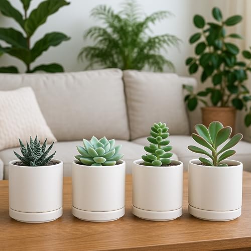 D'vine Dev Set of 4 Small Ceramic Plant Pots, 3.5 Inch Succulent Planter Pot for Plants with Drainage Hole and Saucer, Oatmeal, 94-X-A-8 - color: Oatmeal, size: 3.5 Inch
