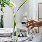 25cm Height Glass Flower Vase Clear Decorative Bud Vase Single Stem Vases for Home Wedding Christmas Decor - size: 25cm/9.84inch