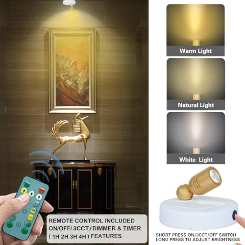 HAMVIDNE Rechargeable LED Spotlight, Indoor Battery Operated Spotlights with Remote, 3 Lighting Modes Up Lights for Plants, Dimmable Timer Picture Lights for Wall Art Painting Tree Spotlight - color: Rechargeable-White-G