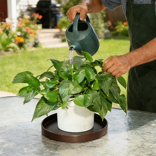 1 Pack 10 inch Plant Saucer Drip Tray, Heavy Sturdy Plastic Planter Flower Pot Drainage Tray Plate Saucers for Indoor Outdoor Garden, Plant Water Drip Trays for pots Base (10", Chocolate) - color: Chocolate, size: 10" - 1Pcs