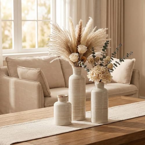 CwlwGO- Ceramic Rustic Vase 3 Piece Set,Small vase for Country Home Decoration,Modern Farmhouse Decor, Living Room Table Decoration, Bookcase, Fireplace and Entrance Decorations.(White) - color: Ivory