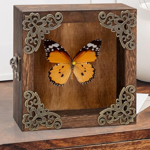 Taxidermy Butterfly Shadow Box Picture Frame - Real Framed Butterflies Meticulously Handcrafted, Framed Butterfly Taxidermy for Dark Academia Decor (Golden Nymphalid (Nymphalidae)) - color: Golden Nymphalid (Nymphalidae)