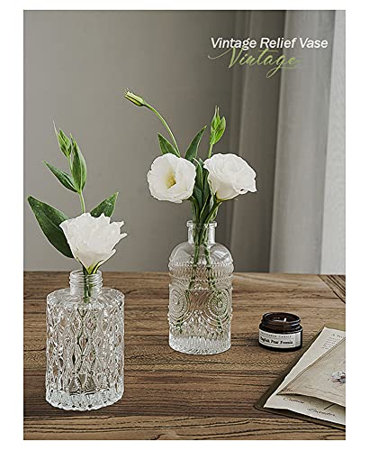 Mini Clear Glass Vase,Small Flower Bud Vase Hydroponics Planter Decorative for Flower,Table,Party,Home,Centerpieces(Clear 6) - color: Clear 6