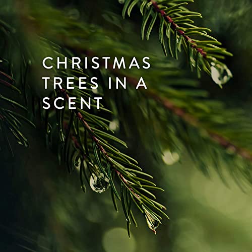 Thymes Frasier Fir Scented Candles for Home Decor - Green Pillar Candles for Women & Men - Place on Candle Holder - Luxury Home Fragrance Gifts - Large (3" x 6" Pillar) - size: 3 in x 6 in