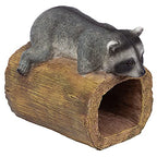 RAIDER THE RACCOON GUTTER GUARDIAN - style: Raider the Raccoon