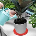 PATIKIL 6 Inch Round Ceramic Plant Saucer, Plant Saucer Tray Flower Planter Drip Tray for Indoors Outdoors Patio Balcony, Black - color: Black