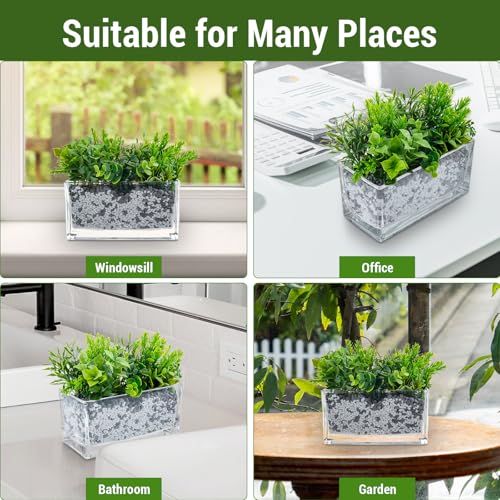 MyGift 7.8 inch Modern Rectangular Glass Vase, Trough Planter, Tabletop Glass Terrarium