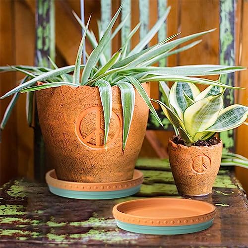 YBX 8-inch Plant Saucer Premium Terracotta Saucer Round Ceramic Plant Trays, Pack of 2 (Turquoise/Terracotta) - color: Turquoise/Terracotta