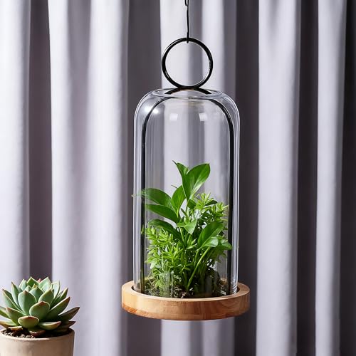 12" High Versatile Black Metal Candle Holder with Handmade Sturdy Glass Dome And Natural Wooden Base for Pillar Candle & Plants, Industrial, Farmhouse, Shabby Chic, Decorative Display Cloche Bell Jars - color: Black, size: 6"x12"