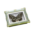 1Pcs Real Butterfly Framed Handmade, Taxidermy Butterfly Shadow Box Collection, Framed Butterfly Taxidermy for Oddities and Curiosities Gifts Tabletop Ornaments (I-Butterfly Specimen+Photo Frame) - color: I-butterfly Specimen+photo Frame