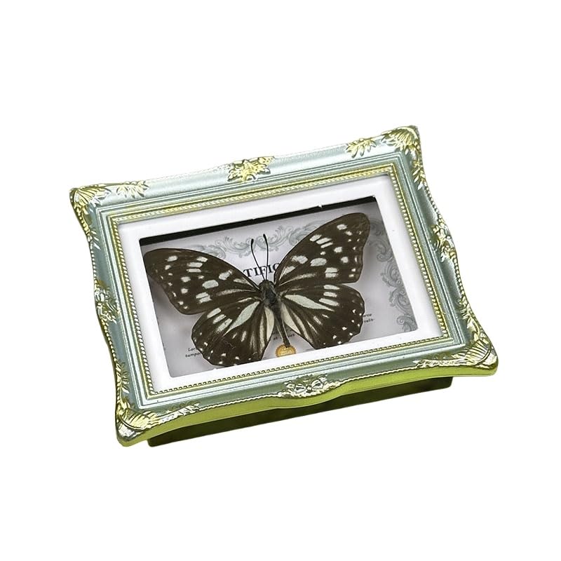 1Pcs Real Butterfly Framed Handmade, Taxidermy Butterfly Shadow Box Collection, Framed Butterfly Taxidermy for Oddities and Curiosities Gifts Tabletop Ornaments (I-Butterfly Specimen+Photo Frame) - color: I-butterfly Specimen+photo Frame