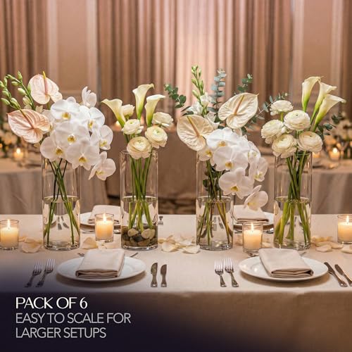 Glass Cylinder Flower Vase Centerpieces for Tables 6"x 12" Tall (11.1" Usable Depth) Set of 6- Glass Vase Candle Holders Wedding Decor Vases for Centerpieces, Home & Event Decorations - Royal Imports - size: 6" wide x 12" tall - Set of 6