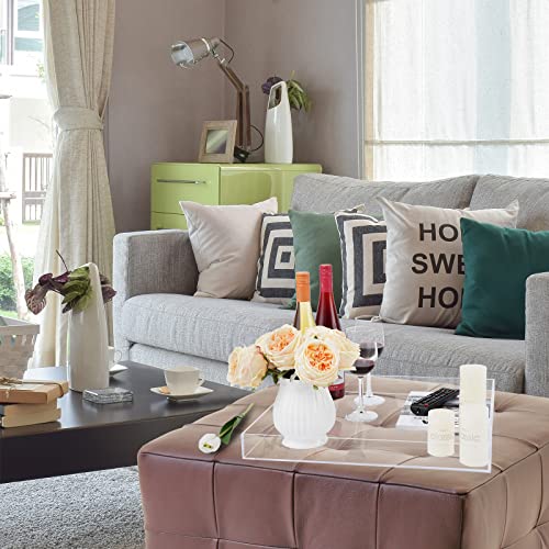 18×18 Inch Clear Acrylic Serving Tray with Handles Extra Large Ottoman Tray Decorative Tray Spill-Proof Coffee Table Space Saver Oversize Counter top Organizer Platter with Safe Edge - color: Clear, size: 18" x 18" x 2"
