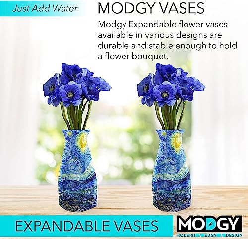 MODGY Expandable Flower Vase, Plastic Decorative Modern Foldable Printed Vases for Centerpieces for Wedding, Dining Table, Home Decor, Living Room, Bathroom, Starry Night, Vincent Van Gogh, 2 Pack - style: 2 Pack