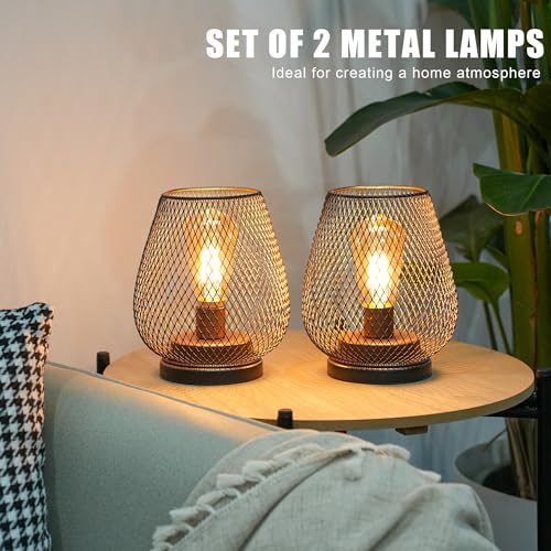 JHY DESIGN Set of 2 Metal Cage LED Lantern Battery Powered Cordless Accent Light with LED and 6-Hours Timer Great for Weddings Parties Patio Events for Indoors Outdoors - style: Set of 2 6-Hours Timer