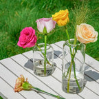 Glass Bud Vases Set of 9 - Clear Flower Vases for Centerpieces, Small Glass Vase Modern Bud Vase for Wedding Party Dining Table Centerpieces, Living Room Decorative, Home Decor - size: 9 Pcs
