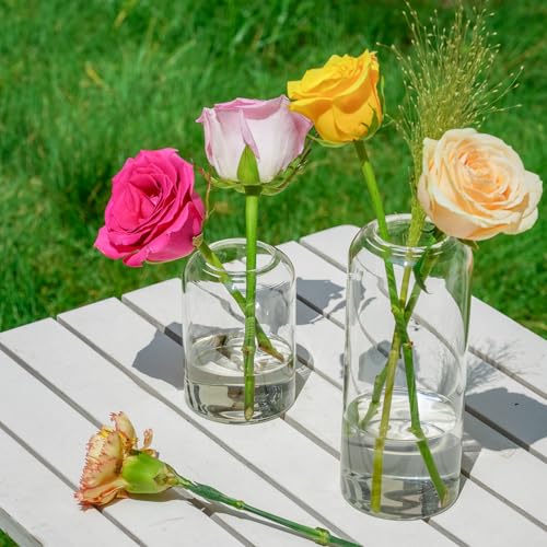 Glass Bud Vases Set of 9 - Clear Flower Vases for Centerpieces, Small Glass Vase Modern Bud Vase for Wedding Party Dining Table Centerpieces, Living Room Decorative, Home Decor - size: 9 Pcs Mixed Sizes (4, 5, 6.7 Inch)