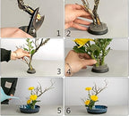 Floral Frogs for Flower Arrangements, 2.4" Round Metal Flower Frog Vase Arranger Pin Holder for Ikebana, DIY Flower Craft Arrangements (60mm Silver) - color: 60mm Silver