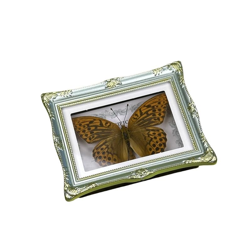1Pcs Real Butterfly Framed Handmade, Taxidermy Butterfly Shadow Box Collection, Framed Butterfly Taxidermy for Oddities and Curiosities Gifts Tabletop Ornaments (B-Butterfly Specimen+Photo Frame) - color: B-butterfly Specimen+photo Frame