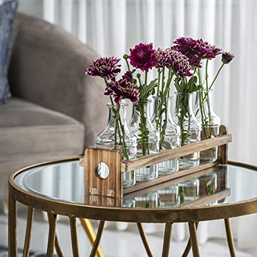 Le'raze Glass Flower Vase with Wooden Holder, Set of 6 Rectangular Bud Vases for Home Decor, Wedding, Mother's Day, Clear Glass, Metal Stand
