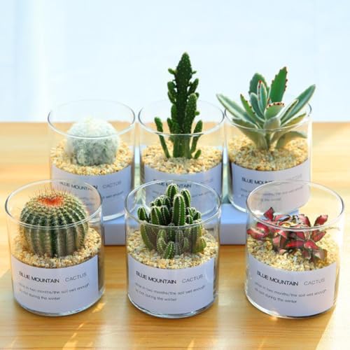 4 Inch Tall Clear Glass Cylinder Vase Flower Vase Decorative Table Centerpiece Arrangement Candle Holder High Hydroponic Floral Vase for Plants Bouquet Wedding Home Decor
