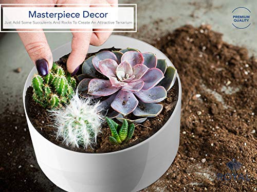 Royal Imports Flower Acrylic Vases Cylinders - Decorative Centerpiece Display for Home or Wedding - Non Breakable Plastic, 8X4 - White - size: 8"x4"