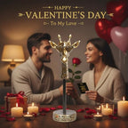 Birthday Gifts for Boyfriend Girlfriend, To My Love Handmade Emotional Exquisite Giraffe, Funny Cute Anniversary Present for Him, Romantic I Love You Gifts for Husband Wife Couple - style: To My Love