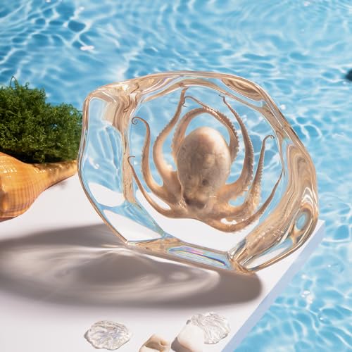 Taxidermy Octopus, Real Octopus Specimens Animal Specimen in Resin for Science Classroom Science Education, Great Gift for Fans of Taxidermy, Animal Skull, Oddities, Biology (Irregularly) - color: Octopus B