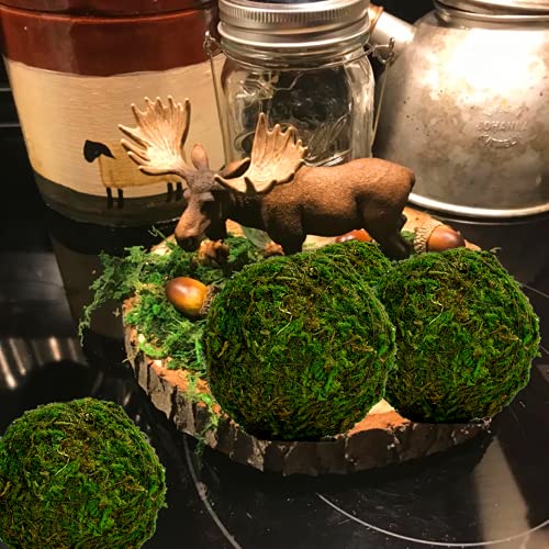 BYHER Natural Green Moss Decorative Ball,Handmade (3.5"-Set of 6) - size: 3.5"-set of 6