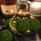 BYHER Natural Green Moss Decorative Ball,Handmade (3.5"-Set of 6) - size: 3.5"-set of 6