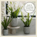 CG Hunter Faux Vanda Orchid Plant, Premium Artificial Indoor Flower Display Stands 20.5”, Beautiful Sculptural Blooms that Lasts Forever, White Planter Pot Included - size: 20.5" Vanda Orchid